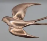 Hirondelle cuivre 10