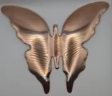 papillon cuivre 5 