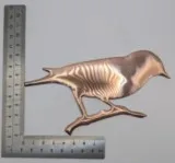 Chardonneret cuivre  6