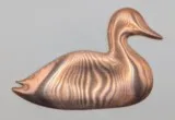 Canard cuivre
