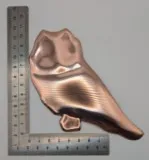 Hibou cuivre