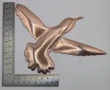 Colibri cuivre 7