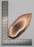 Feuille cuivre 10
