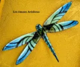libelulle émaux Arédiens